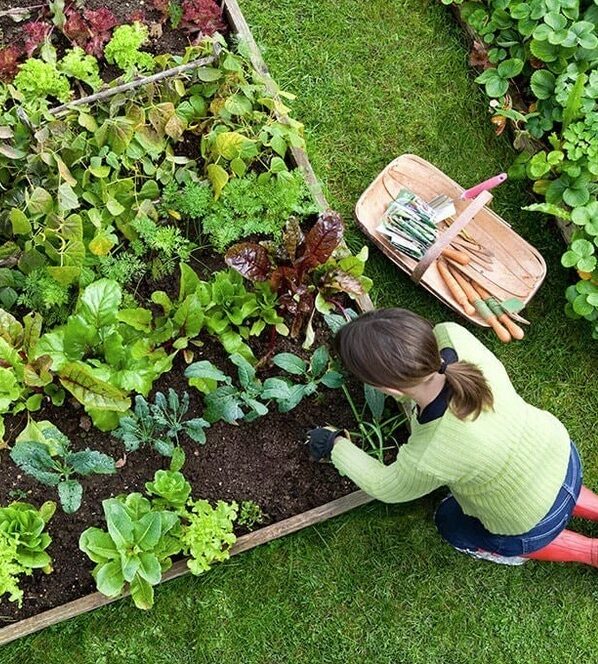 Peachland-Gardening-Services-Peachland Have a great lawn