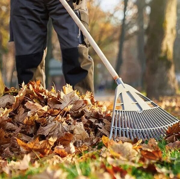 Qualicum-Beach-Fall-Yard-Cleanup-Services-Qualicum-Beach Greenlii Fall Clean Up Services