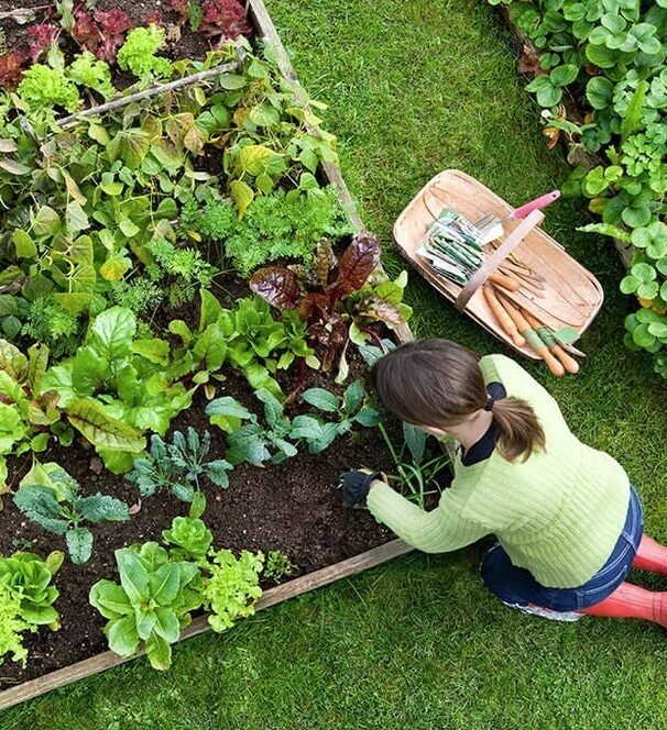 Qualicum-Beach-Gardening-Services-Qualicum-Beach Have a great lawn