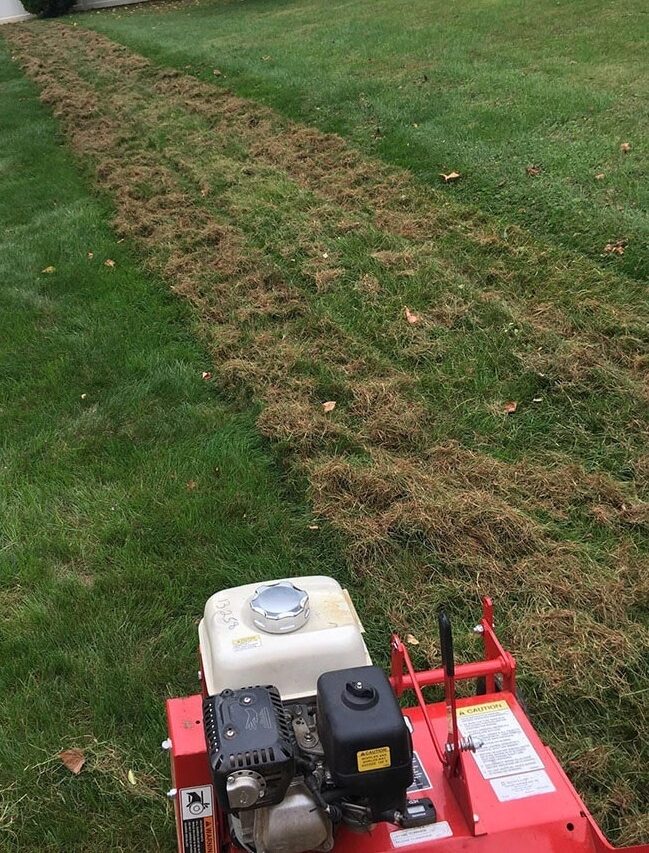 Qualicum-Beach-Power-Raking-Services-Qualicum-Beach Greenlii Power Raking Services