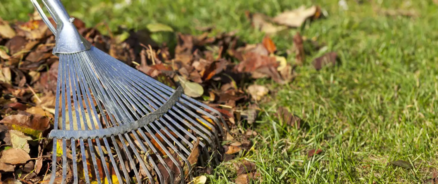 Raking Leaves