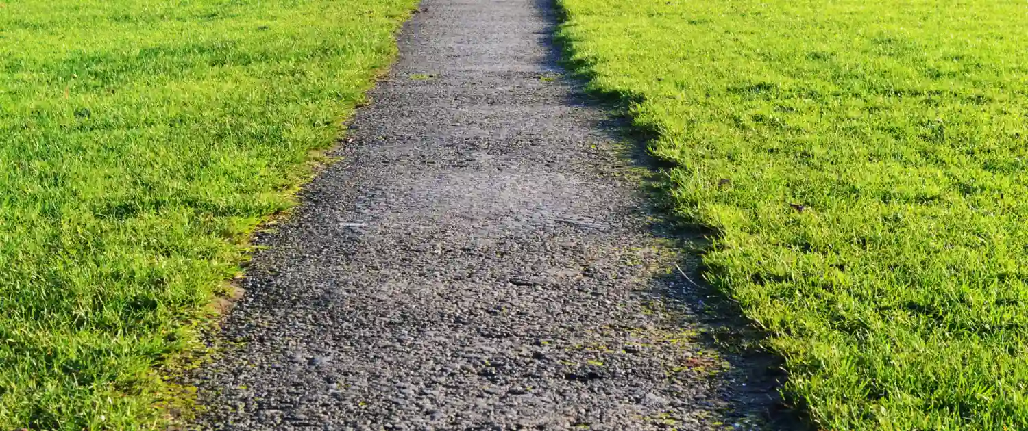 4 Reasons to Invest in Professional Lawn Mowing Services (2)