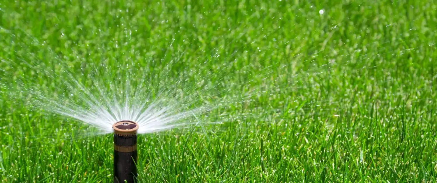 Smart Watering