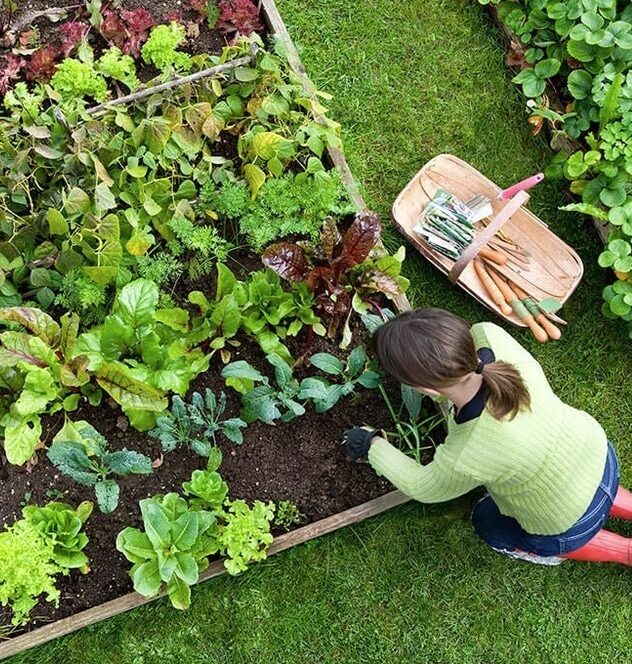 Surrey-Gardening-Services-Surrey