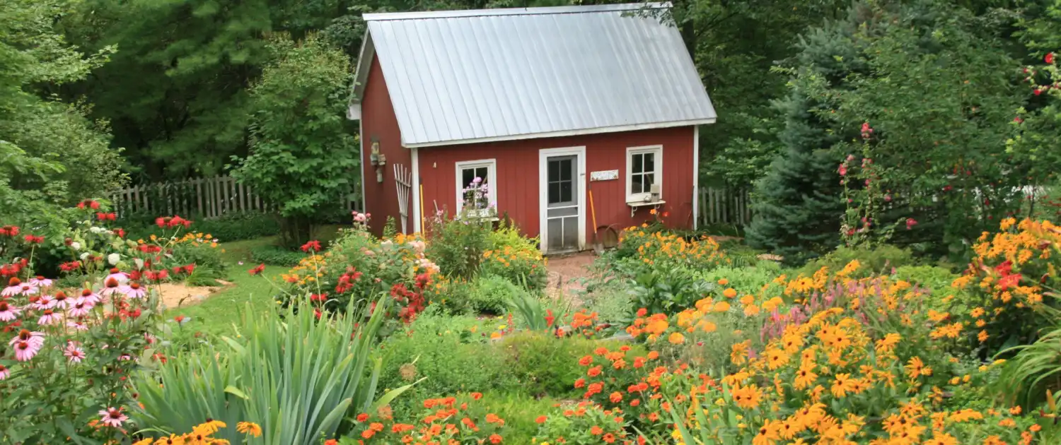 The Ultimate Guide to Organic Gardening