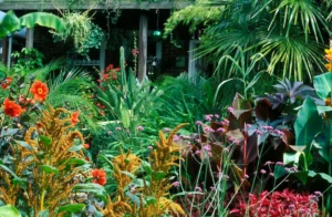 Top 10 Low Maintenance Plants for Busy Gardeners Top 10 Low Maintenance Plants for Busy Gardeners