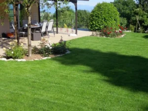 Transform your lawn essential tips