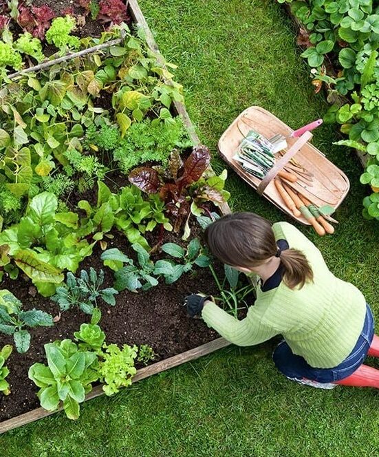 Vernon-Gardening-Services-Vernon