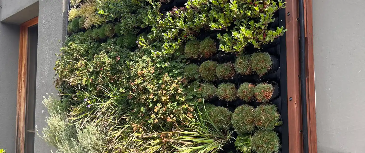 Vertical Gardening Maximizing Space in Small Yards