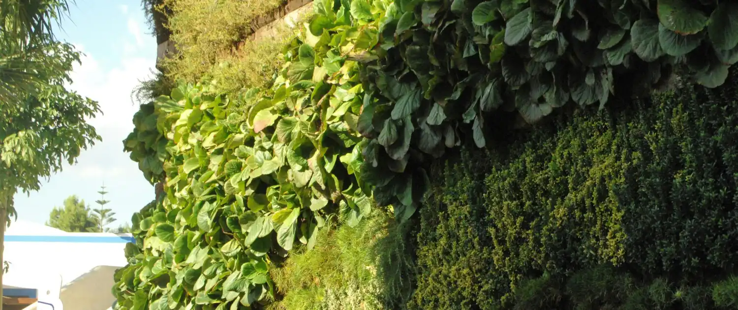 Vertical Gardening Maximizing Space in Small Yards