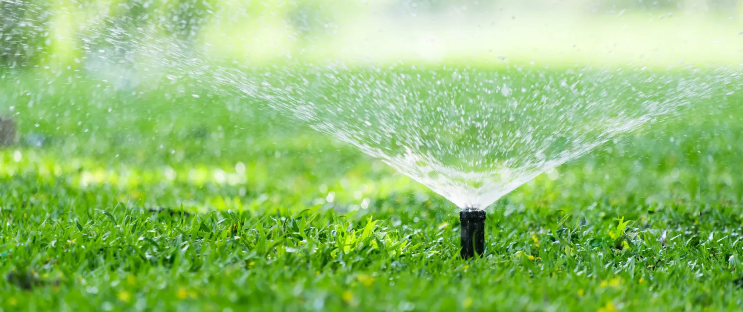 Water Nicely