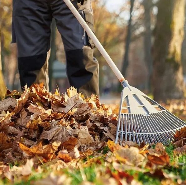 West-Kelowna-Fall-Yard-Cleanup-Services-West-Kelowna Greenlii Fall Clean Up Services