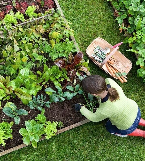 West-Kelowna-Gardening-Services-West-Kelowna