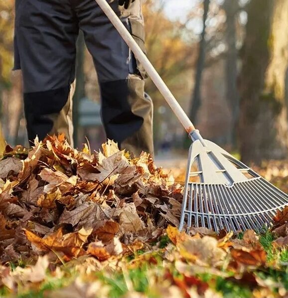 Courtenay-Comox-Fall-Yard-Cleanup-Services-Courtenay-Comox Greenlii Fall Clean Up Services