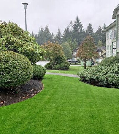Courtenay-Comox-Landscaping-Services-Courtenay-Comox Greenlii Landscaping Services