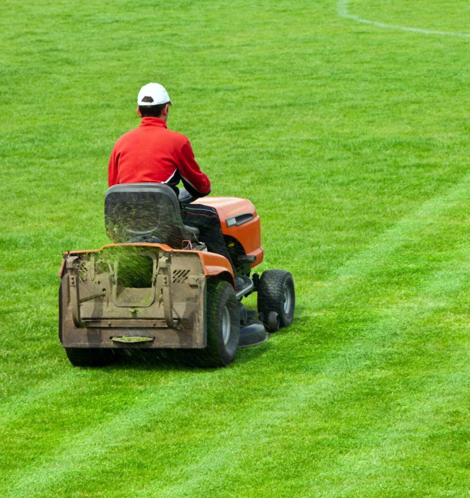 Courtenay-Comox-Lawn-Mowing-Services-Courtenay-Comox Greenlii Mowing Services