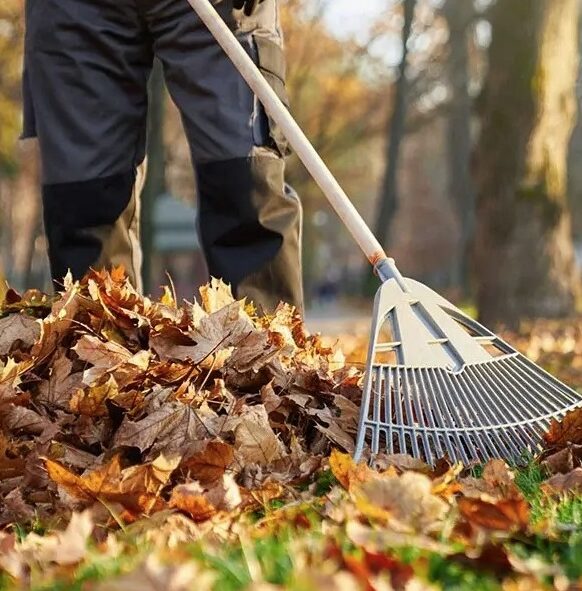 Cowichan-Valley-Fall-Yard-Cleanup-Services-Cowichan-Valley Greenlii Fall Clean Up Services
