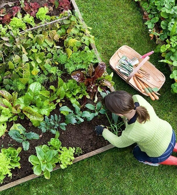 Cowichan-Valley-Gardening-Services-Cowichan-Valley Have a great lawn