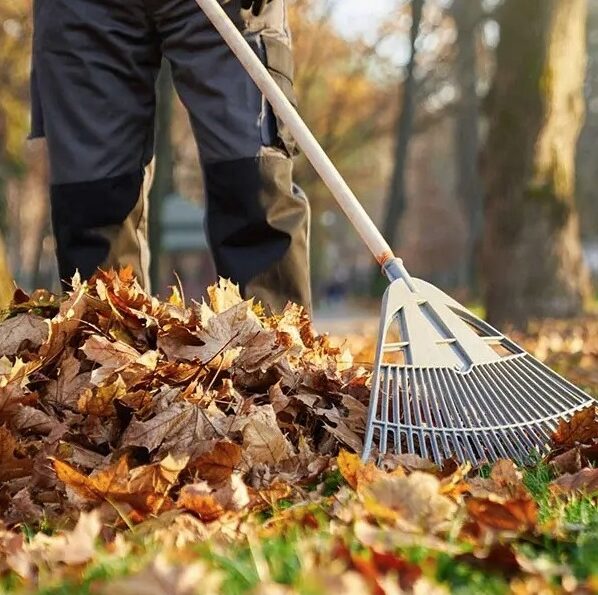 Duncan-Fall-Yard-Cleanup-Services-Duncan Greenlii Fall Clean Up Services