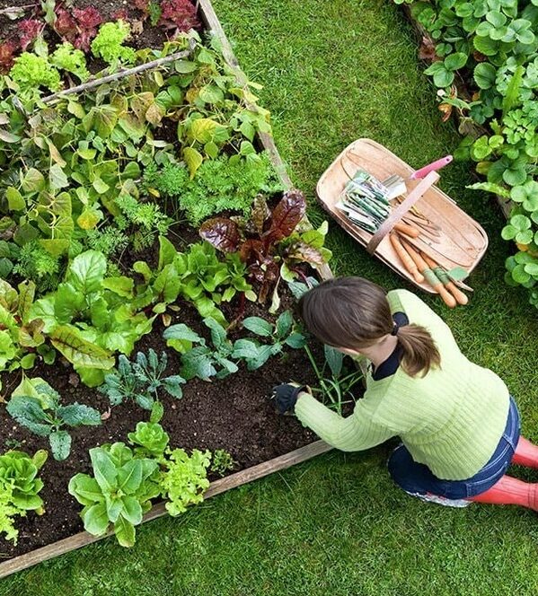 Duncan-Gardening-Services-Duncan Have a great lawn