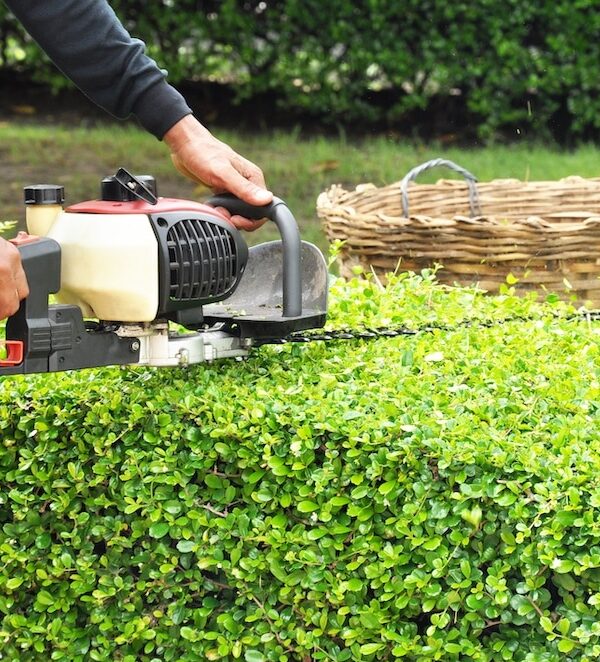 Duncan-Hedge-Trimming-Services-Duncan Greenlii Hedge Trimming Services