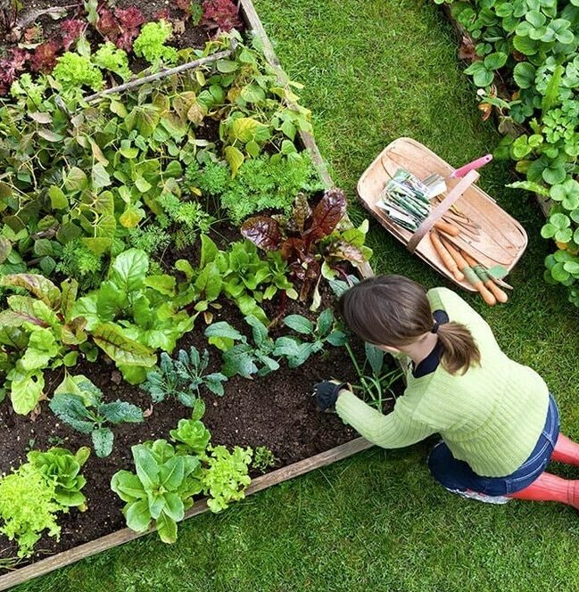 Ladner-Gardening-Services-Ladner Have a great lawn