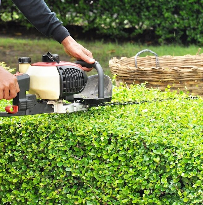 Ladner-Hedge-Trimming-Services-Ladner Greenlii Hedge Trimming Services