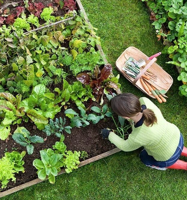 Maple-Ridge-Gardening-Services-Maple-Ridge Have a great lawn
