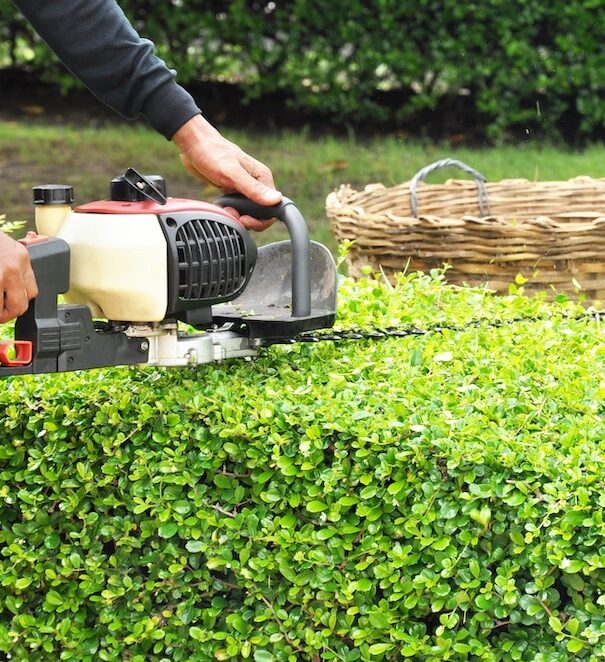 Maple-Ridge-Hedge-Trimming-Services-Maple-Ridge Greenlii Hedge Trimming Services