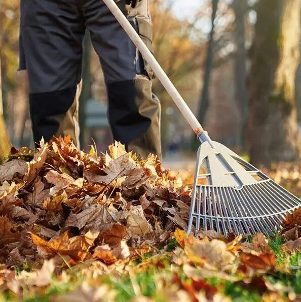 Mission-Fall-Yard-Cleanup-Services-Mission Greenlii Fall Clean Up Services