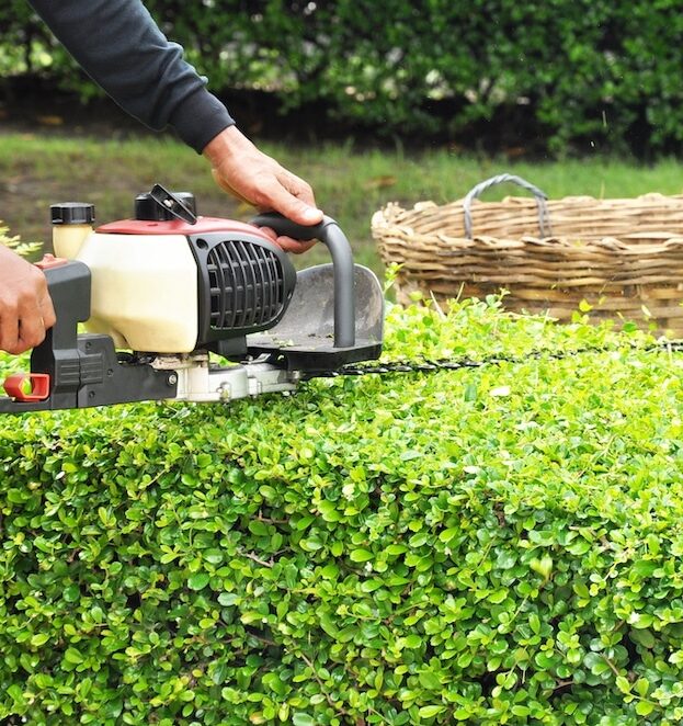 Mission-Hedge-Trimming-Services-Mission Greenlii Hedge Trimming Services