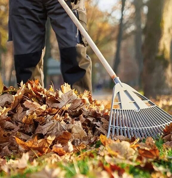 Nanoose-Bay-Fall-Yard-Cleanup-Services-Nanoose-Bay Greenlii Fall Clean Up Services