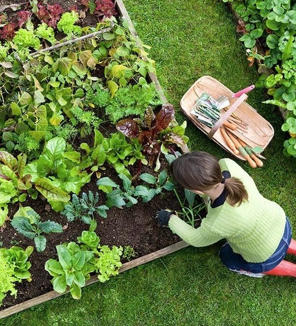 Nanoose-Bay-Gardening-Services-Nanoose-Bay Have a great lawn
