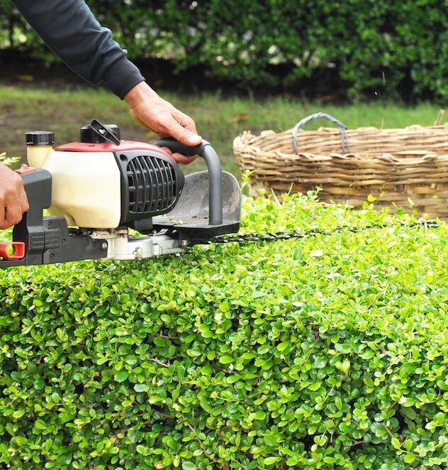Nanoose-Bay-Hedge-Trimming-Services-Nanoose-Bay Greenlii Hedge Trimming Services