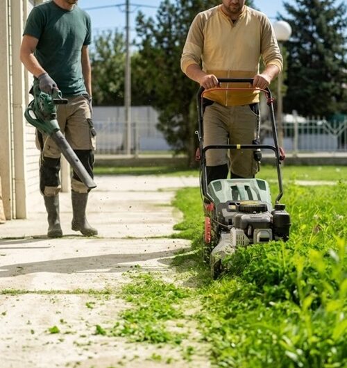 Nanoose-Bay-Lawn-Care-Services-Nanoose-Bay Greenlii Lawn Care Services