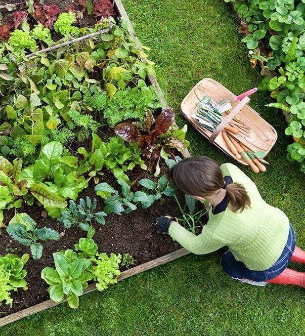 North-Vancouver-Gardening-Services-North-Vancouver Have a great lawn