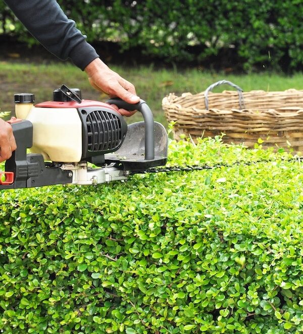 North-Vancouver-Hedge-Trimming-Services-North-Vancouver Greenlii Hedge Trimming Services
