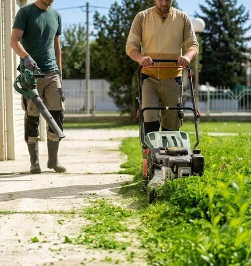 North-Vancouver-Lawn-Care-Services-North-Vancouver Greenlii Lawn Care Services