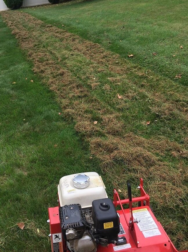 North-Vancouver-Power-Raking-Services-North-Vancouver Greenlii Power Raking Services