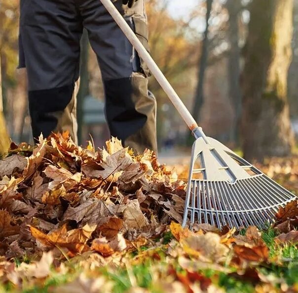 Pitt-Meadows-Fall-Yard-Cleanup-Services-Pitt-Meadows Greenlii Fall Clean Up Services