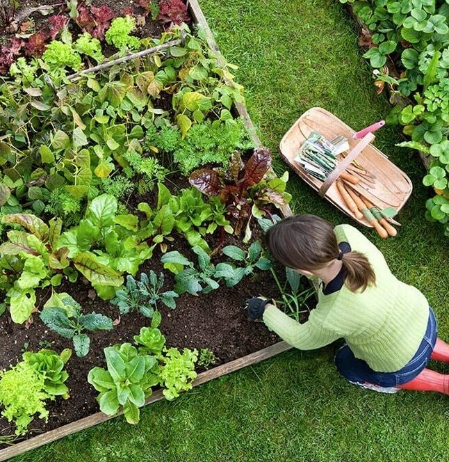 Pitt-Meadows-Gardening-Services-Pitt-Meadows Have a great lawn
