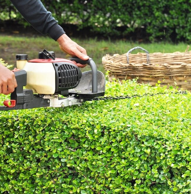 Pitt-Meadows-Hedge-Trimming-Services-Pitt-Meadows Greenlii Hedge Trimming Services