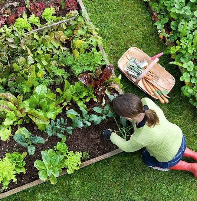 Port-Coquitlam-Gardening-Services-Port-Coquitlam Have a great lawn
