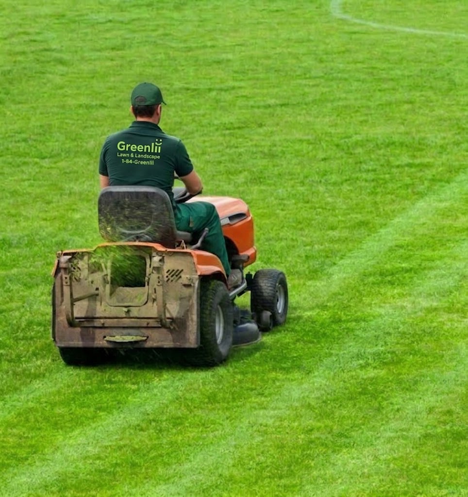 Coldstream-Lawn-Mowing-Services-Coldstream Greenlii Mowing Services