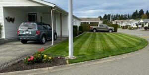 Front Lawn