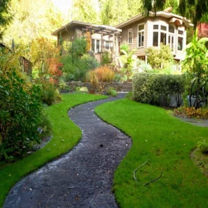 Lush Backyard Walkway