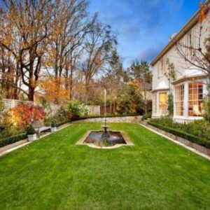 Backyard Lawn
