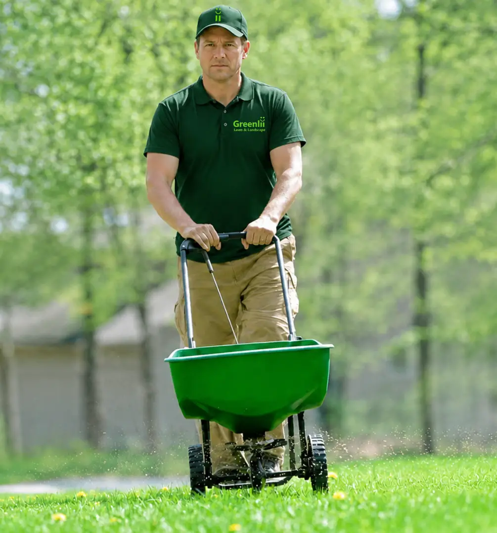 Greenlii Fertilizing and Moss Control