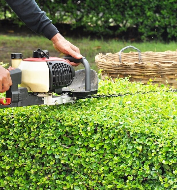 Richmond-Hedge-Trimming-Services-Richmond Greenlii Hedge Trimming Services