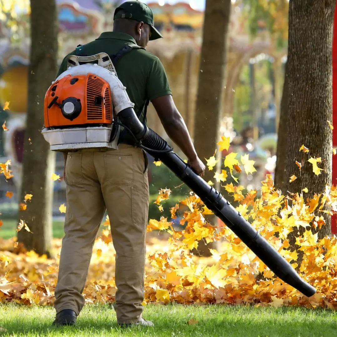 West-Kelowna-Fall-Yard-Cleanup-Services-Coquitlam-e1790461155150 Greenlii Fall Clean Up Services